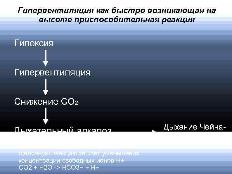 Быстро возник. Гипервентиляция. Причины гипервентиляции. Гипервентиляция физиология. Компенсаторная гипервентиляция.