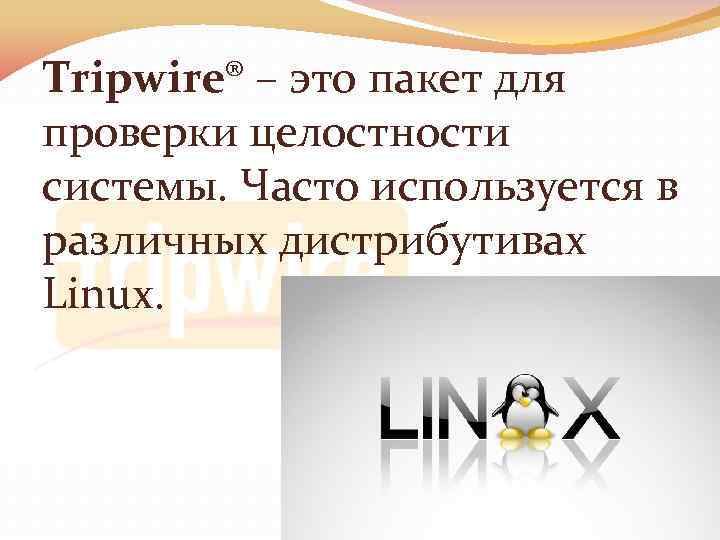 Tripwire® – это пакет для проверки целостности системы. Часто используется в различных дистрибутивах Linux.