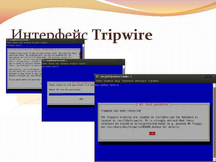 Интерфейс Tripwire 