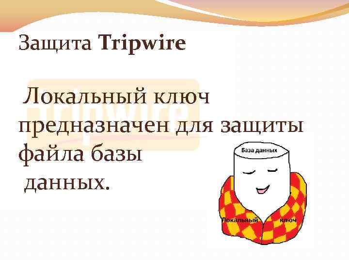 Защита Tripwire Локальный ключ предназначен для защиты файла базы данных. 