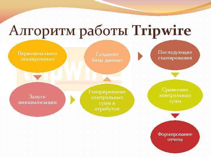 Алгоритм работы Tripwire Первоначальное сканирование Создание базы данных Последующие сканирования Запуск инициализации Генерирование контрольных