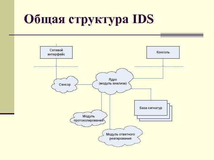 Общая структура IDS 