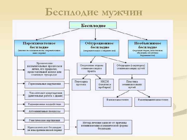 Бесплодие мужчин 