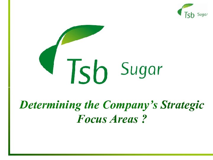 Determining the Company’s Strategic Focus Areas ? 