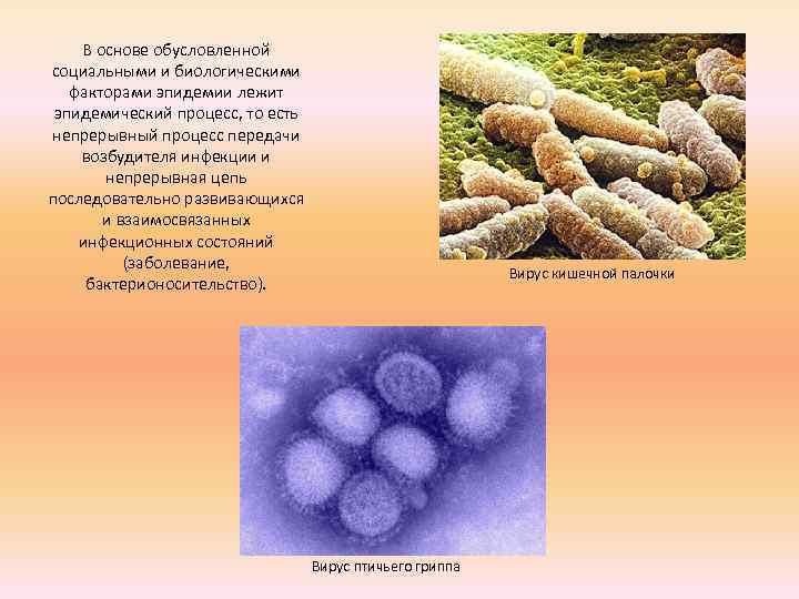 В основе обусловленной социальными и биологическими факторами эпидемии лежит эпидемический процесс, то есть непрерывный