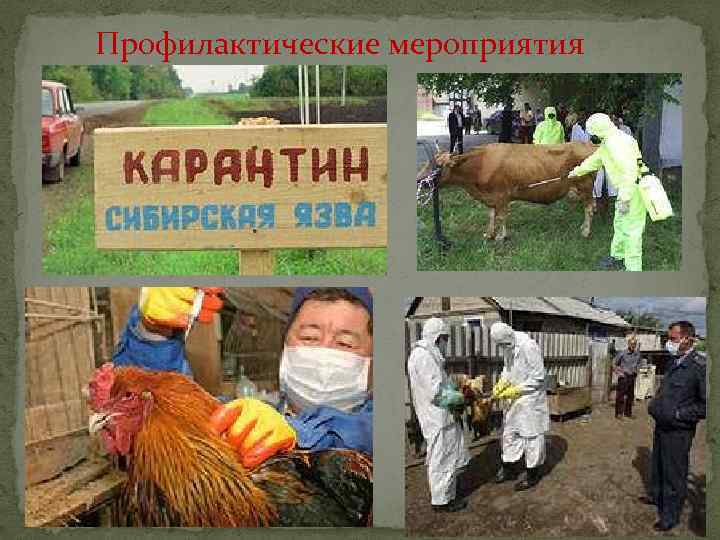 Профилактические мероприятия 