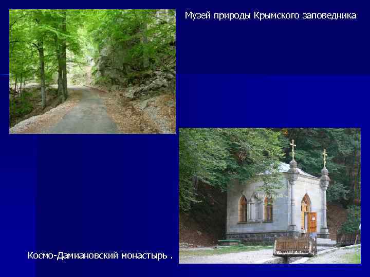 Музей природы Крымского заповедника Космо-Дамиановский монастырь. 