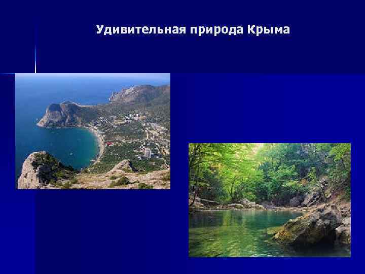 Удивительная природа Крыма 