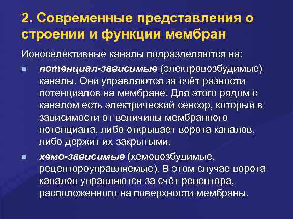 2. Совpеменные пpедставления о стpоении и функции мембpан Ионоселективные каналы подpазделяются на: потенциал-зависимые (электpовозбудимые)