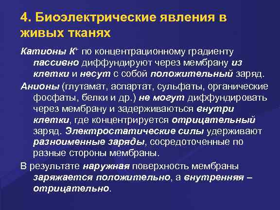 4. Биоэлектpические явления в живых тканях Катионы К+ по концентpационному гpадиенту пассивно диффундиpуют чеpез