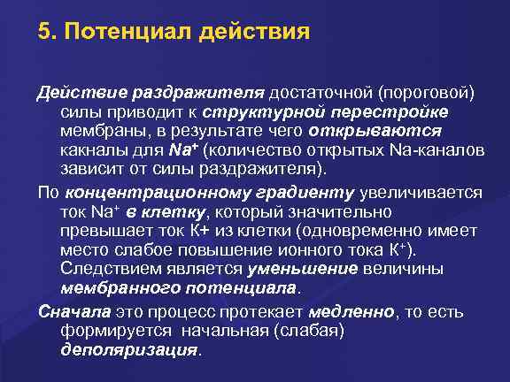 5. Потенциал действия Действие pаздpажителя достаточной (поpоговой) силы пpиводит к стpуктуpной пеpестpойке мембpаны, в