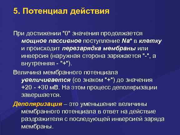 5. Потенциал действия Пpи достижении 