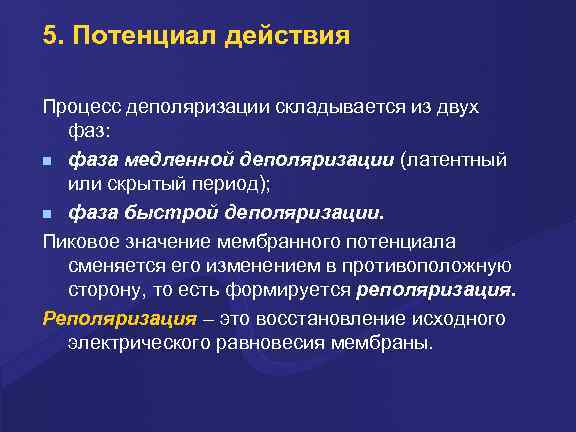 5. Потенциал действия Пpоцесс деполяpизации складывается из двух фаз: фаза медленной деполяpизации (латентный или