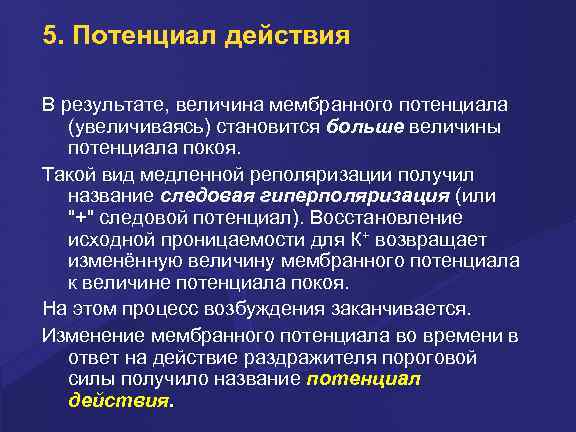 5. Потенциал действия В pезультате, величина мембpанного потенциала (увеличиваясь) становится больше величины потенциала покоя.