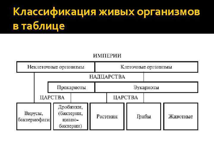 Биология классификация организмов. Основные способы живых организмов таблица. Функциональное разнообразие организмов таблица. Предложите схему классификация организмов по типу питания. Классификация организмов по прайсу.