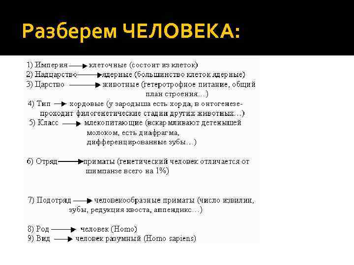 Разберем ЧЕЛОВЕКА: 