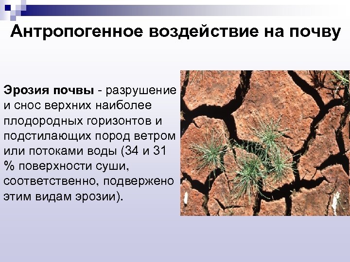 Антропогенное воздействие на почву Эрозия почвы - разрушение и снос верхних наиболее плодородных горизонтов