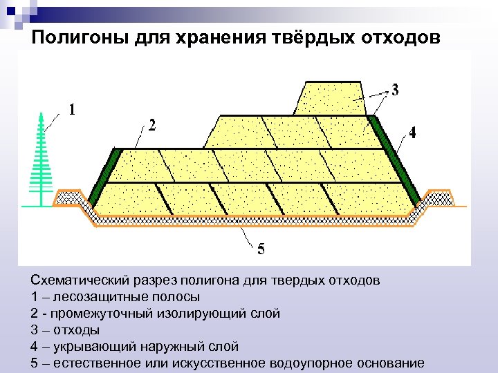 Полигоны для хранения твёрдых отходов Схематический разрез полигона для твердых отходов 1 – лесозащитные