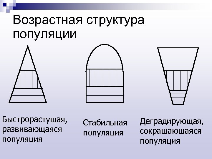 Возрастная структура популяции Быстрорастущая, развивающаяся популяция Стабильная популяция Деградирующая, сокращающаяся популяция 