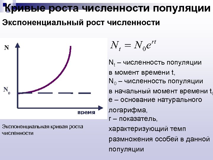 Кривые роста численности популяции Экспоненциальный рост численности Экспоненциальная кривая роста численности Nt – численность