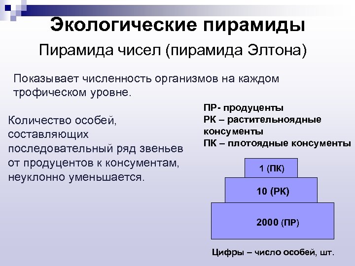 Экологические пирамиды Пирамида чисел (пирамида Элтона) Показывает численность организмов на каждом трофическом уровне. Количество