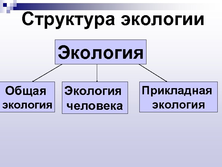Структура экологии Экология Общая Экология экология человека Прикладная экология 