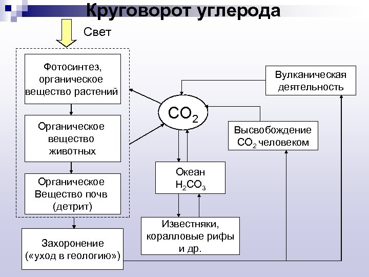 Схема круговорота углерода в природе впр. Схема круговорота углерода. Основные звенья круговорота углерода. Круговорот углерода в природе схема 9 класс химия. Круговорот углерода в природе схема.