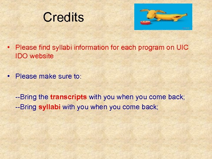 Credits • Please find syllabi information for each program on UIC IDO website •