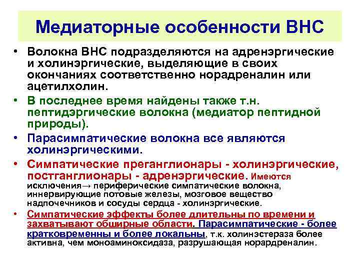 Медиаторные особенности ВНС • Волокна ВНС подразделяются на адренэргические и холинэргические, выделяющие в своих