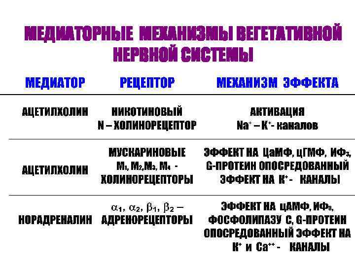 МЕДИАТОРНЫЕ МЕХАНИЗМЫ ВЕГЕТАТИВНОЙ НЕРВНОЙ СИСТЕМЫ 