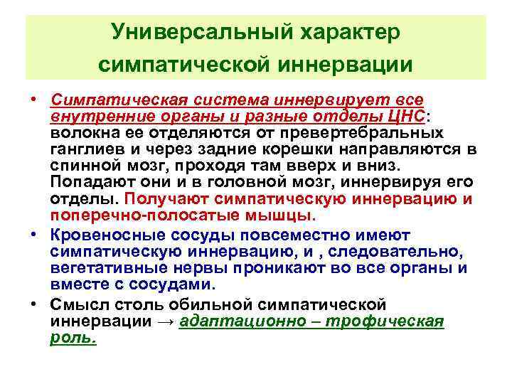 Универсальный характер симпатической иннервации • Симпатическая система иннервирует все внутренние органы и разные отделы