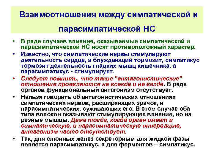 Взаимоотношения между симпатической и парасимпатической НС • В ряде случаев влияния, оказываемые симпатической и
