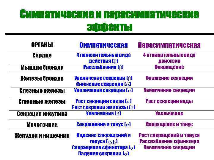 Симпатические и парасимпатические эффекты 