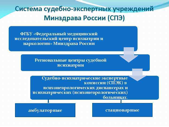 Система судебно-экспертных учреждений Минздрава России (СПЭ) ФГБУ «Федеральный медицинский исследовательский центр психиатрии и наркологии»