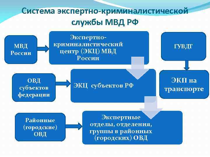 Схема министерства юстиции