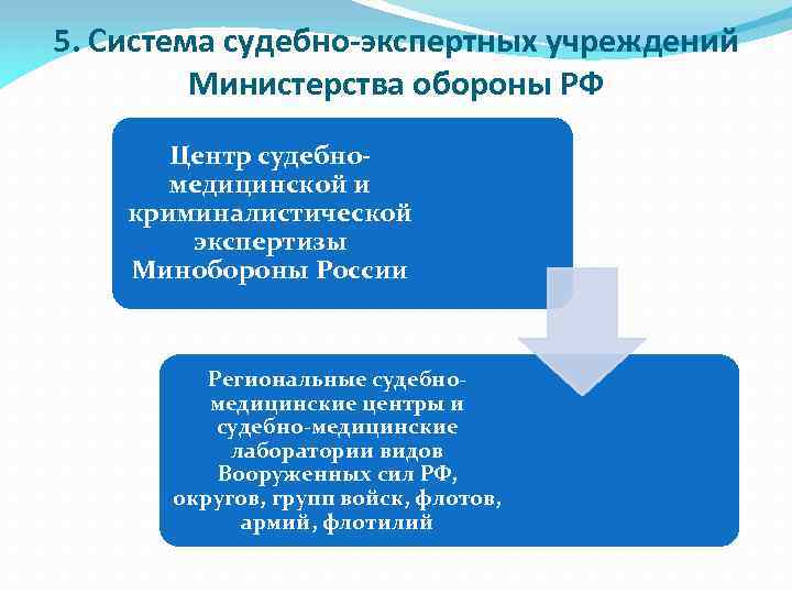 Схема экспертных учреждений мвд