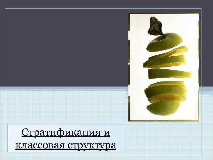 Стратификация и классовая структура 