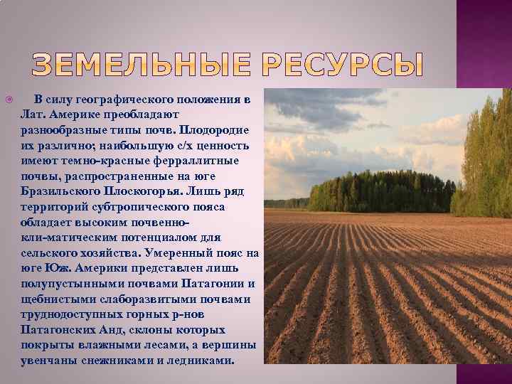  В силу географического положения в Лат. Америке преобладают разнообразные типы почв. Плодородие их