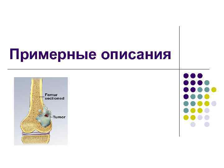 Примерные описания 