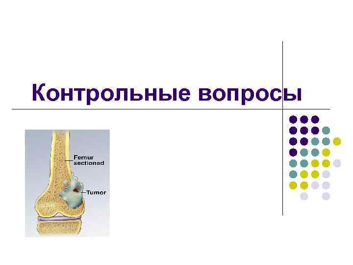 Контрольные вопросы 