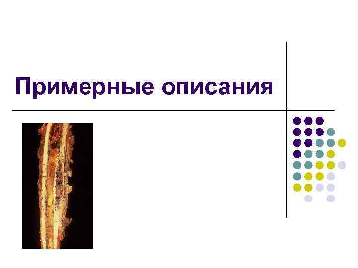 Примерные описания 