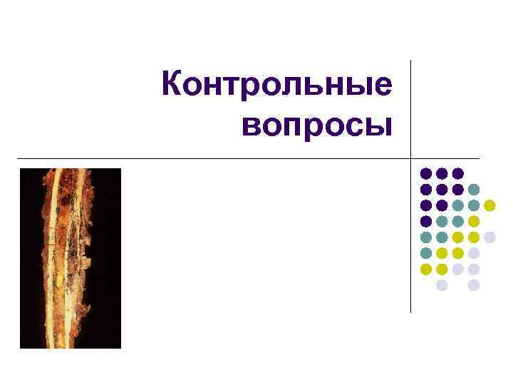 Контрольные вопросы 