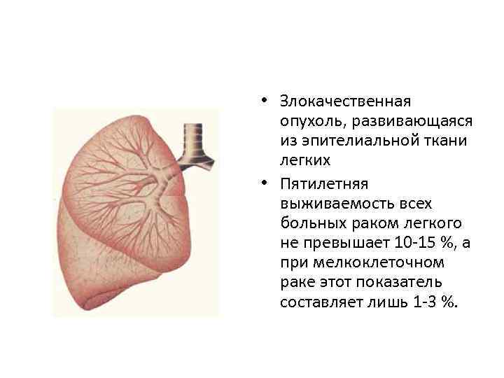  • Злокачественная опухоль, развивающаяся из эпителиальной ткани легких • Пятилетняя выживаемость всех больных