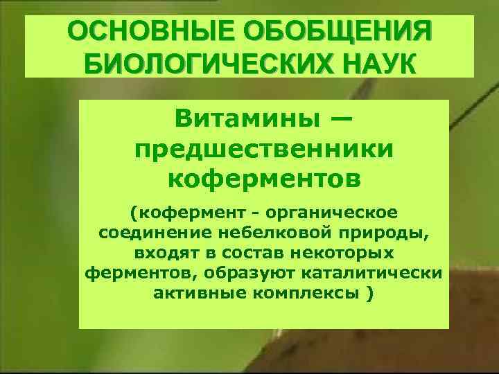 ОСНОВНЫЕ ОБОБЩЕНИЯ БИОЛОГИЧЕСКИХ НАУК Витамины — предшественники коферментов (кофермент - органическое соединение небелковой природы,