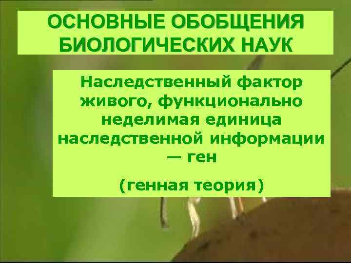 ОСНОВНЫЕ ОБОБЩЕНИЯ БИОЛОГИЧЕСКИХ НАУК Наследственный фактор живого, функционально неделимая единица наследственной информации — ген