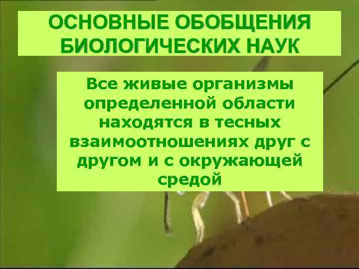 ОСНОВНЫЕ ОБОБЩЕНИЯ БИОЛОГИЧЕСКИХ НАУК Все живые организмы определенной области находятся в тесных взаимоотношениях друг