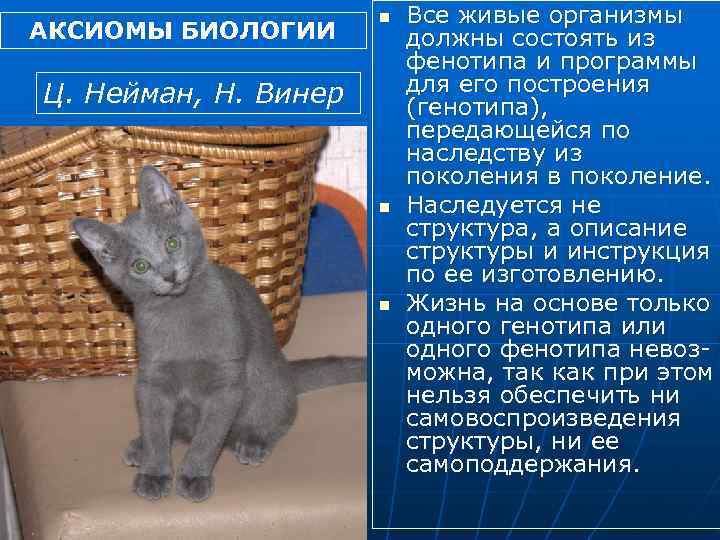 АКСИОМЫ БИОЛОГИИ n Ц. Нейман, Н. Винер n n Все живые организмы должны состоять