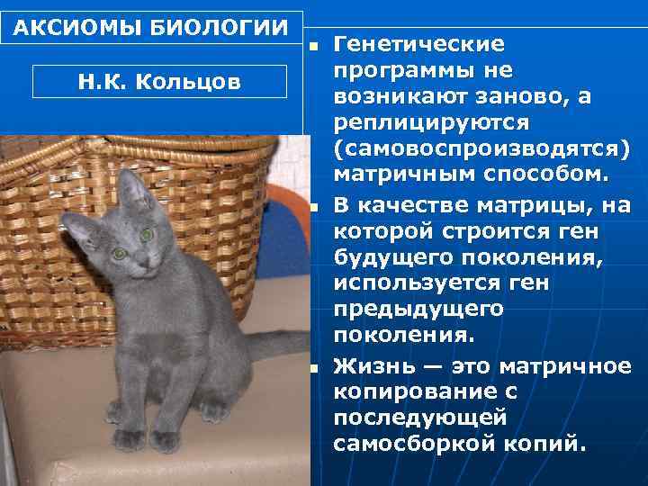 АКСИОМЫ БИОЛОГИИ n Н. К. Кольцов n n Генетические программы не возникают заново, а