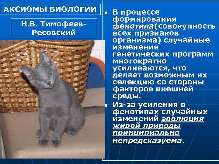 АКСИОМЫ БИОЛОГИИ n Н. В. Тимофеев. Ресовский n В процессе формирования фенотипа(совокупность всех признаков