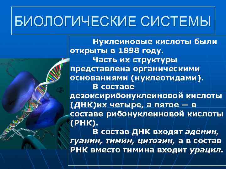 БИОЛОГИЧЕСКИЕ СИСТЕМЫ Нуклеиновые кислоты были открыты в 1898 году. Часть их структуры представлена органическими